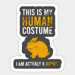 this is my human costume Iam actualy a rabbit Sticker